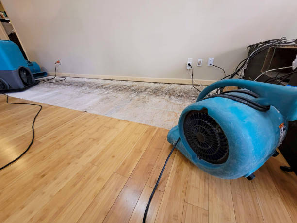 Professional Ceiling Water Damage Repair technician working in Cologne, MN